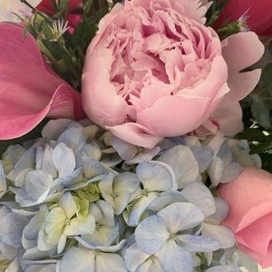 Meet your Posher, Remy